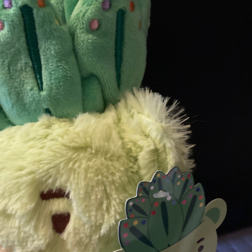 Green Cactus Bear Plush in Orange Pot Moriah Elizabeth Fred plush with bag - Picture 8 of 13